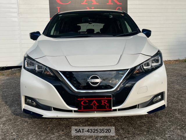 Nissan LEAF 2019-06 8328290-2