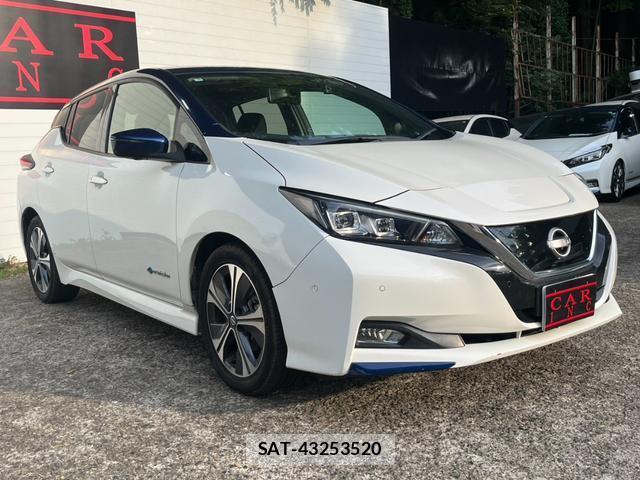 Nissan LEAF 2019-06 8328290-3