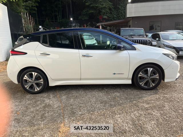 Nissan LEAF 2019-06 8328290-4