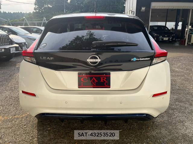 Nissan LEAF 2019-06 8328290-6