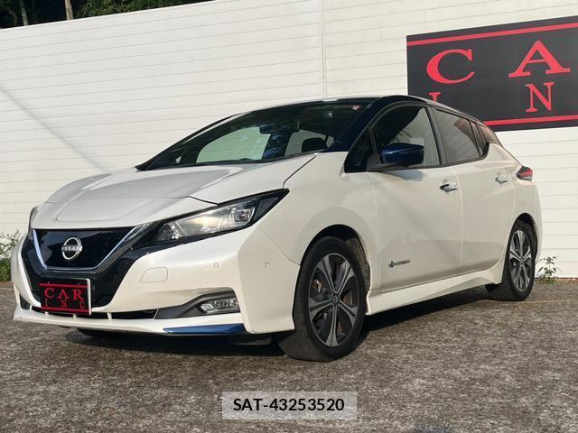 Nissan LEAF 2019-06 8328290-9