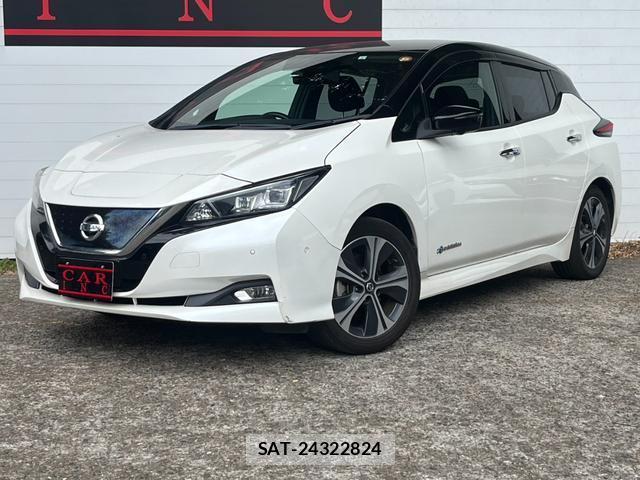 Nissan LEAF 2019-07 8328292-1