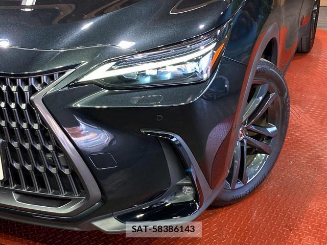 Lexus NX 2023-08 8328019-11