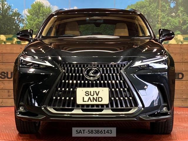 Lexus NX 2023-08 8328019-13