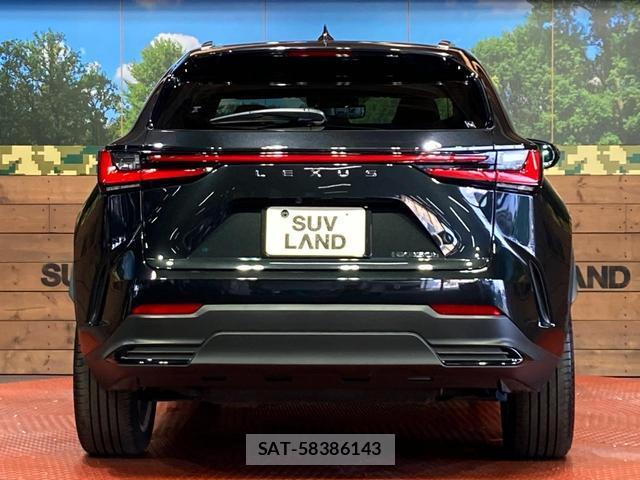 Lexus NX 2023-08 8328019-14