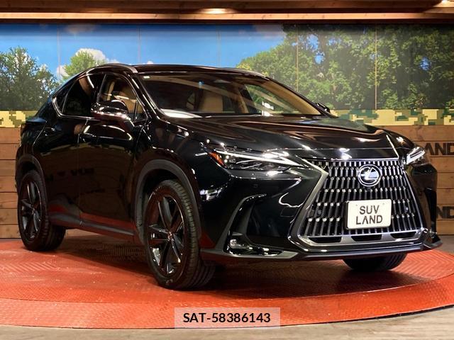 Lexus NX 2023-08 8328019-15