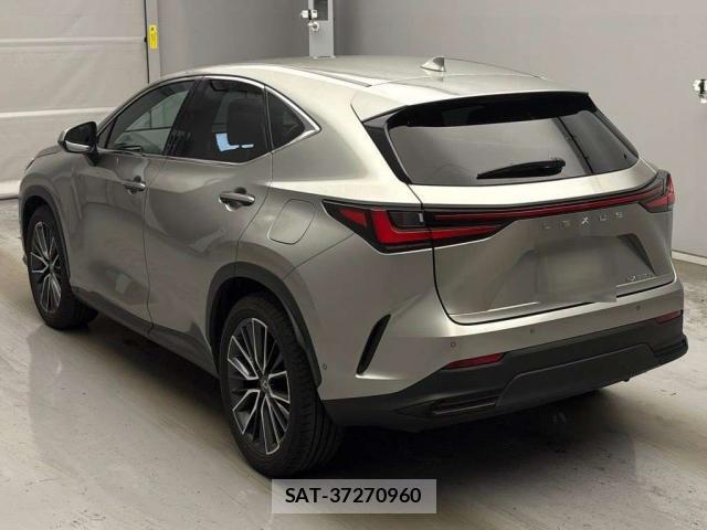 Lexus NX 2023-12 8328838-1