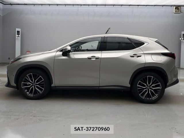 Lexus NX 2023-12 8328838-10