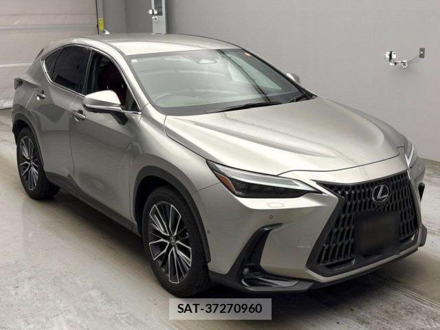 Lexus NX 2023-12 8328838-12