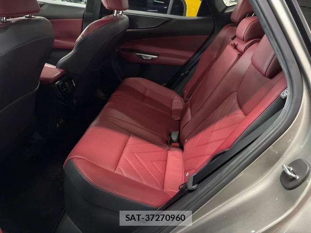 Lexus NX 2023-12 8328838-4