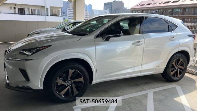 Lexus NX 2020-11 8329319-10