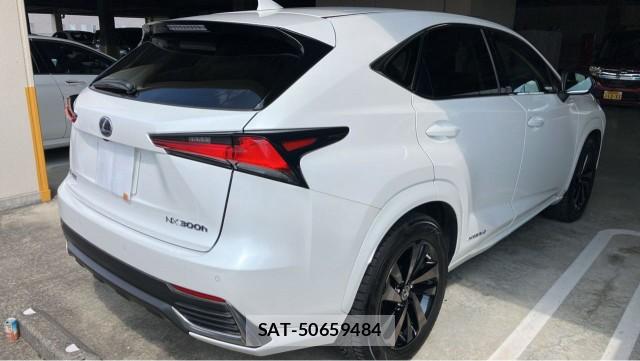 Lexus NX 2020-11 8329319-12