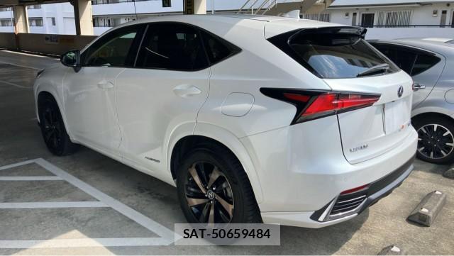 Lexus NX 2020-11 8329319-13