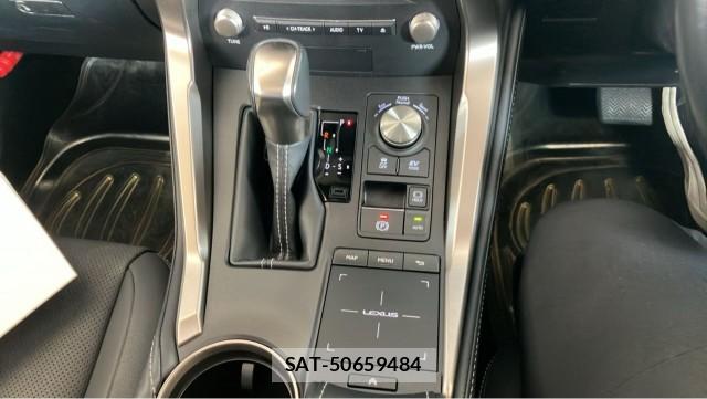 Lexus NX 2020-11 8329319-14