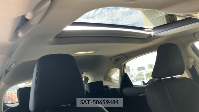 Lexus NX 2020-11 8329319-15