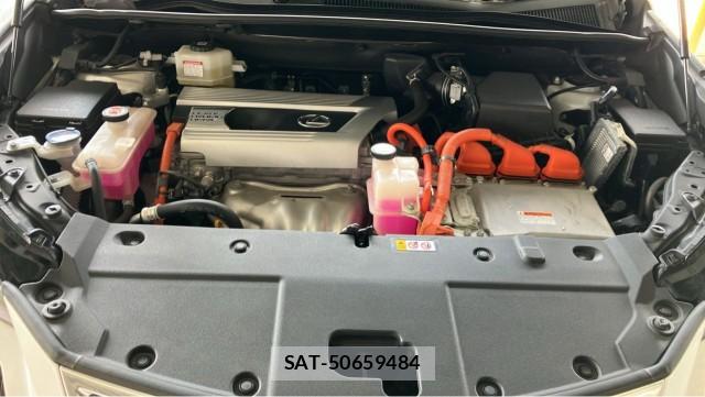 Lexus NX 2020-11 8329319-7