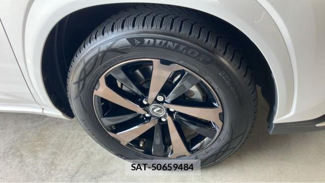Lexus NX 2020-11 8329319-8