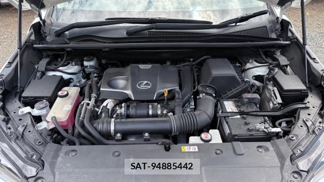 Lexus NX 2019-01 8329332-6