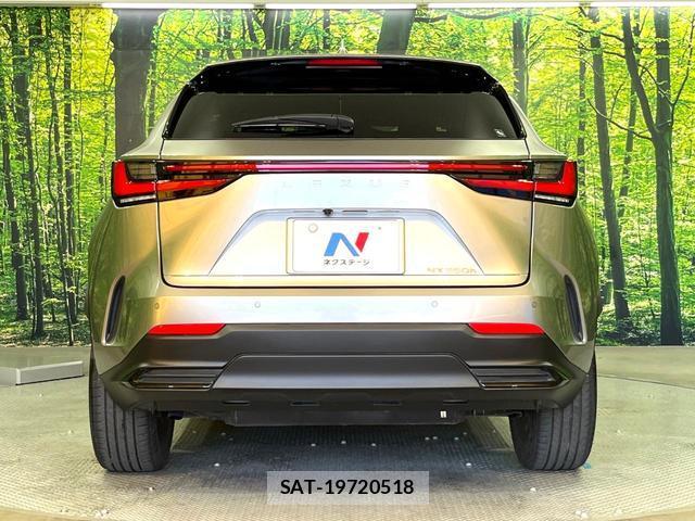 Lexus NX 2023-02 8329742-14