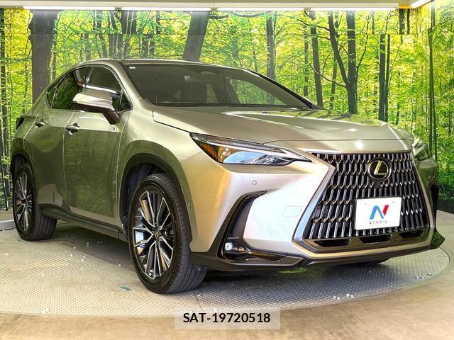 Lexus NX 2023-02 8329742-15