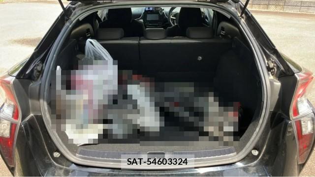 Toyota PRIUS 2016-08 8329261-17