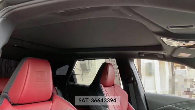Lexus RX 2025-04 8329248-15