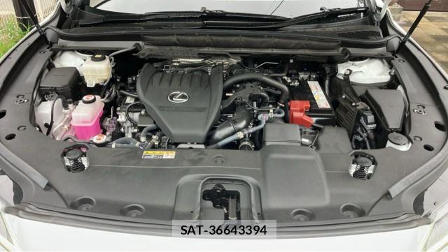 Lexus RX 2025-04 8329248-7