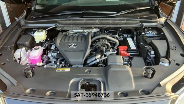 Lexus RX 2025-04 8329307-7