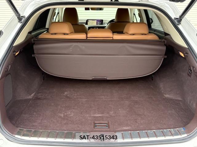 Lexus RX 2016-04 8329550-7