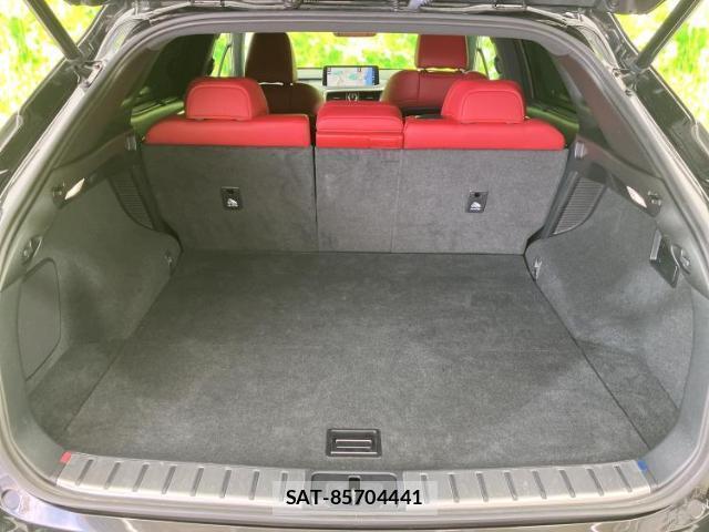 Lexus RX 2019-09 8330470-7