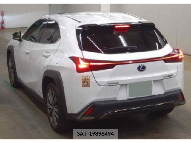 Lexus UX 2021-06 8328497-1