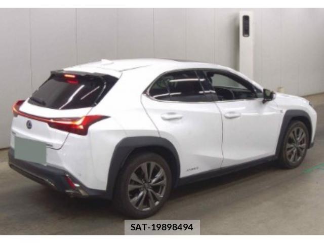 Lexus UX 2021-06 8328497-4