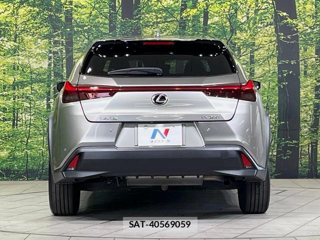 Lexus UX 2019-10 8328530-16