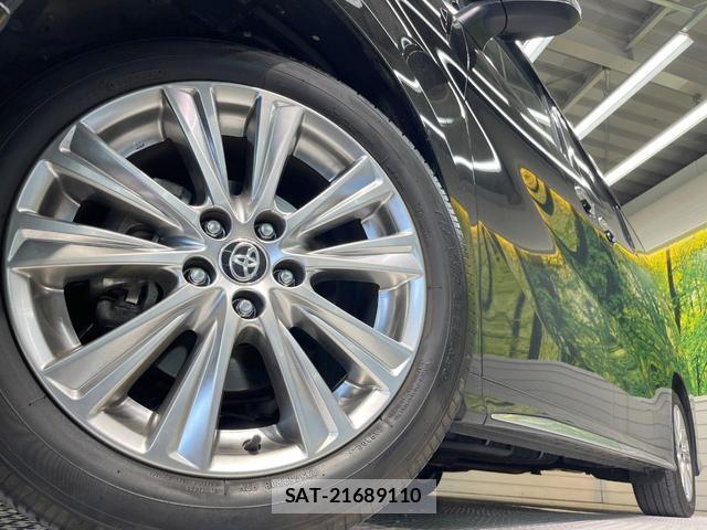 Toyota ALPHARD 2020-11 8344034-13