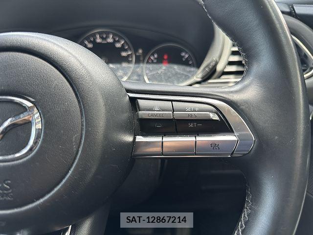 Mazda CX-30 2020-02 8343857-4