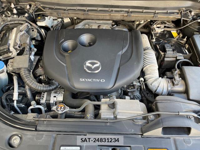 Mazda CX-8 2021-01 8343254-18