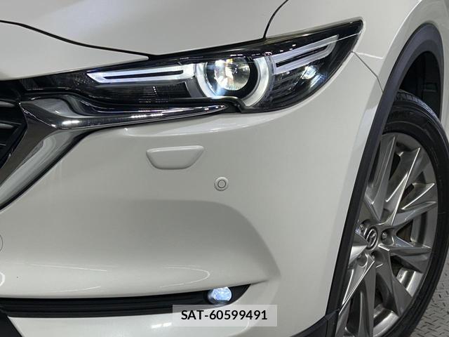 Mazda CX-8 2018-06 8343541-15