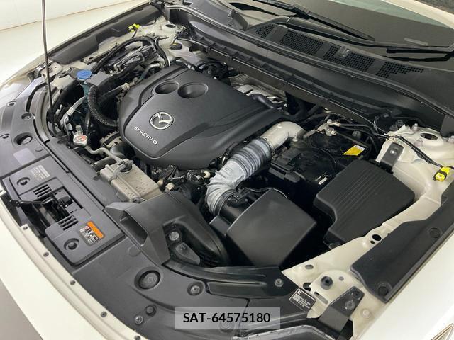 Mazda CX-8 2019-12 8343938-12