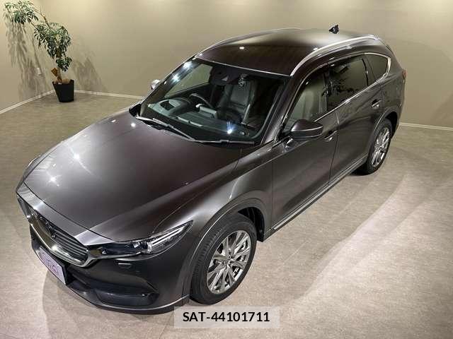 Mazda CX-8 2018-01 8344103-13