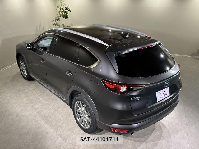 Mazda CX-8 2018-01 8344103-15