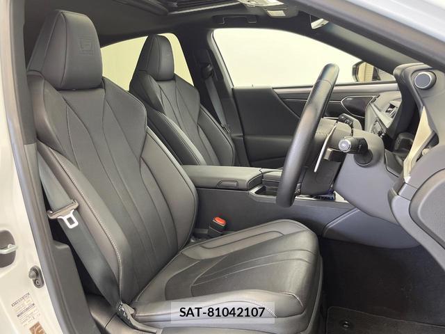 Lexus ES 2020-07 8344294-12