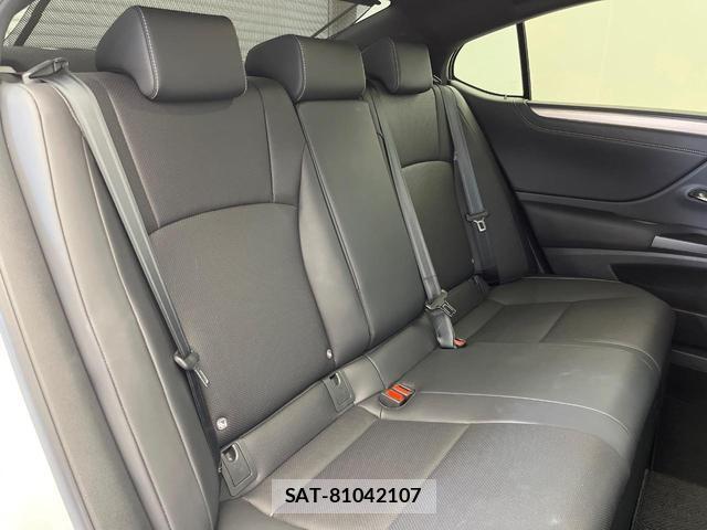 Lexus ES 2020-07 8344294-13