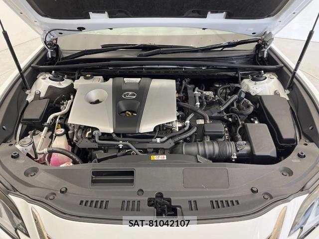 Lexus ES 2020-07 8344294-19