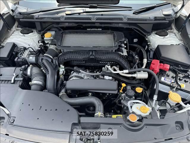 Subaru LEVORG 2021-01 8343149-13