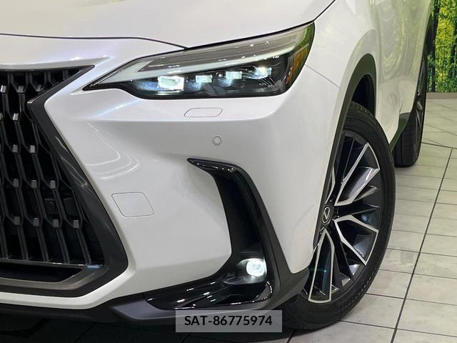 Lexus NX 2023-10 8342058-12