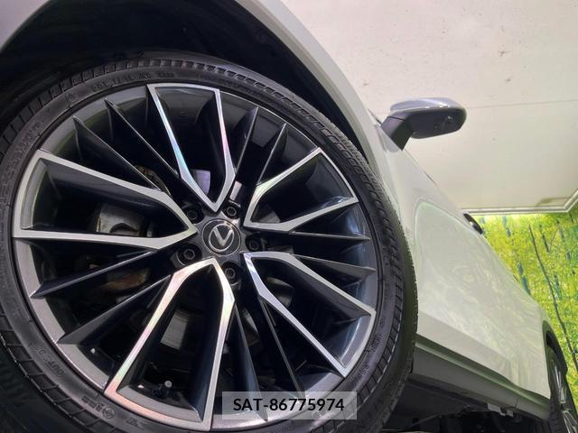 Lexus NX 2023-10 8342058-13