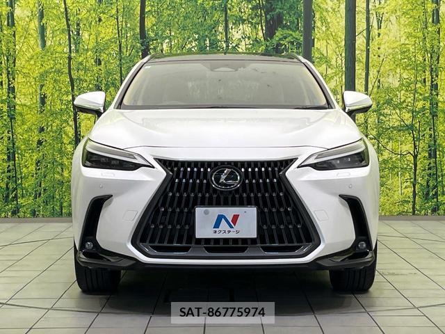 Lexus NX 2023-10 8342058-14