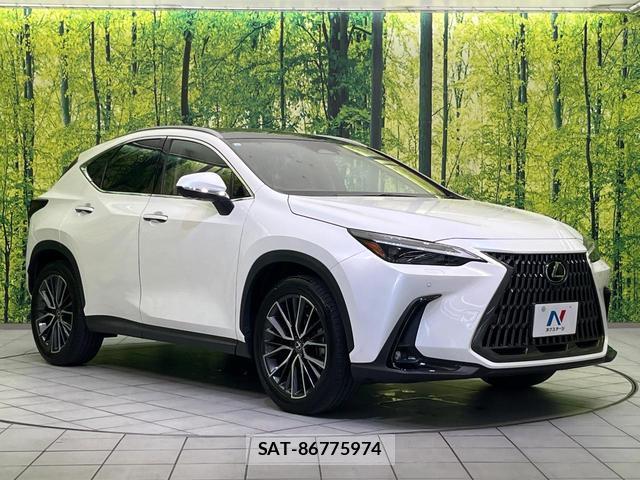 Lexus NX 2023-10 8342058-16