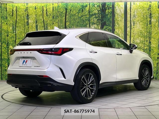 Lexus NX 2023-10 8342058-17