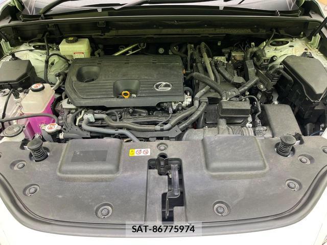 Lexus NX 2023-10 8342058-18